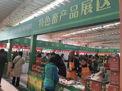 家鄉的驕傲 2019東北亞(營口)農副產品博覽會盛大啟幕