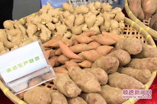 順德名優農產品展區深受市民青睞，食用農產品引領健康新風尚